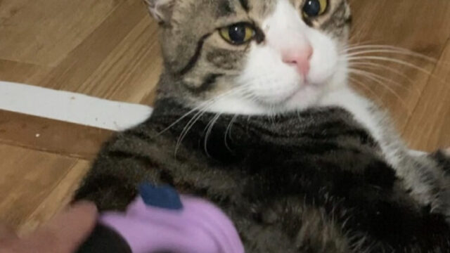 解決することがなぜ重要なのか